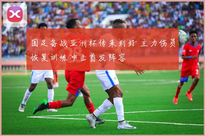 国足备战亚洲杯传来利好 主力伤员恢复训练冲击首发阵容
