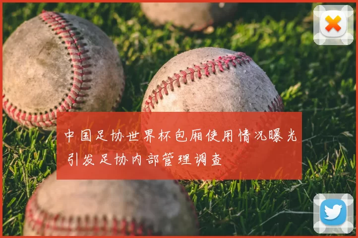 中国足协世界杯包厢使用情况曝光 引发足协内部管理调查