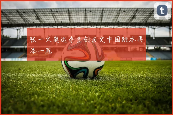 张一文奥运夺金创历史中国跳水再添一冠